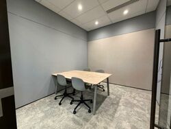 Mapletree Anson (D2), Office #504168111